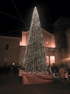 <H2></noscript>Piazza Duomo anche quest’anno sarà illuminata dall’albero di Natale <br><H4><font color='black'>Sarà il Comitato di San Paride a dare inizio alle manifestazioni natalizie di quest’anno 