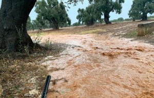 La Giunta comunale richiede lo stato di calamità naturale.