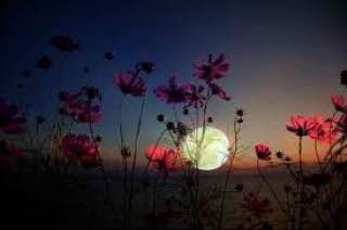 Firmato il protocollato tra Stato e Cei.