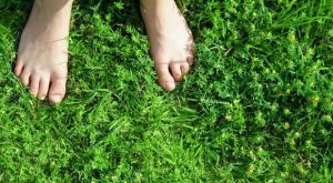 Caro amico ti scrivo così mi distraggo un po’.