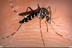 AMMINISTRAZIONE, TUTTI SONO PRONTI AL SALTO, MA NESSUNO SALTA