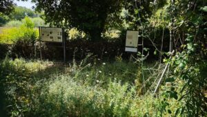 Appello del consigliere Guido Zanni sullo stato di abbandono del Teatro “Teanum Sidicinum”